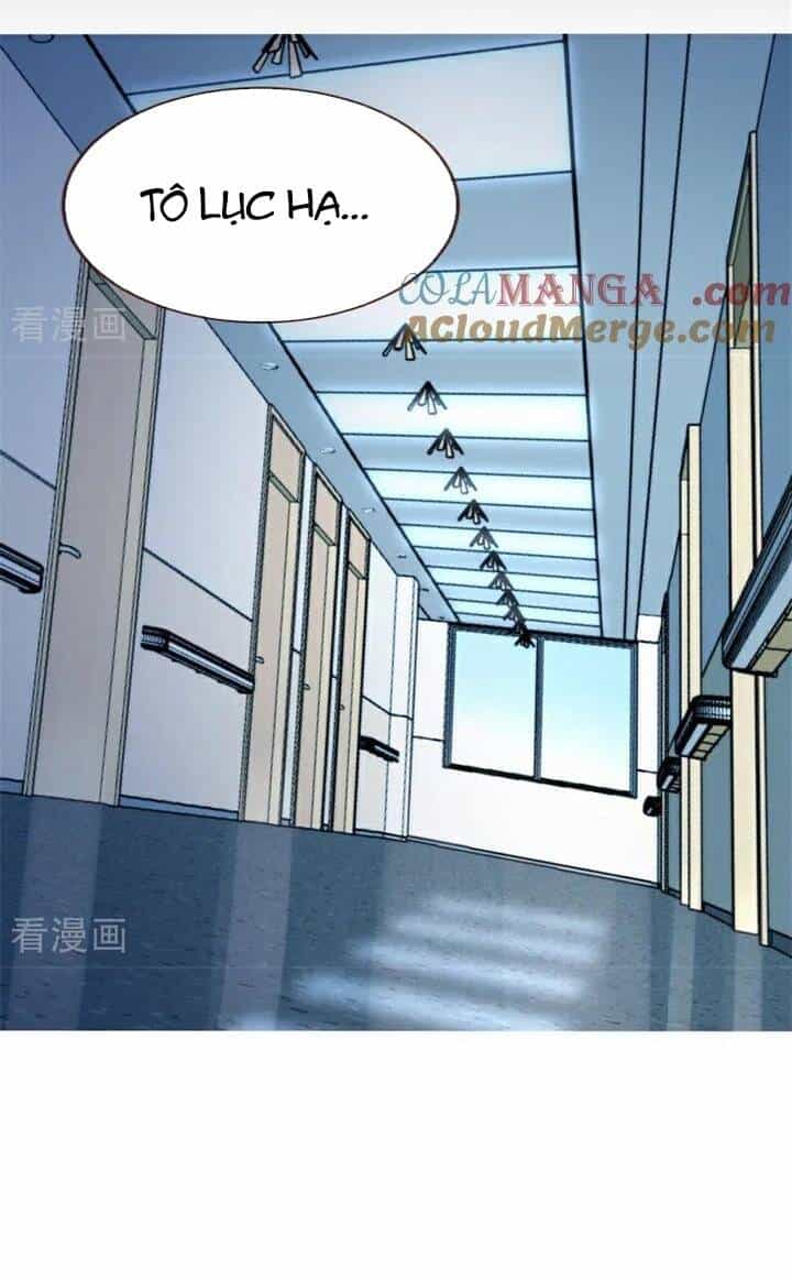 Vạn Tra Triêu Hoàng - Chương 795 - ảnh 5