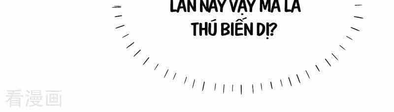 Vào Ngày Tận Thế Nhặt Được Hệ Thống - Chương 116 - ảnh 11