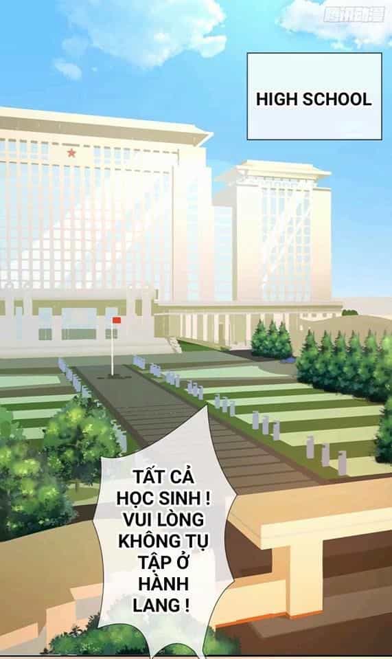 Vật Nuôi Đáng Yêu: Mèo Cỏ Của Tôi - Chương 0 - ảnh 11