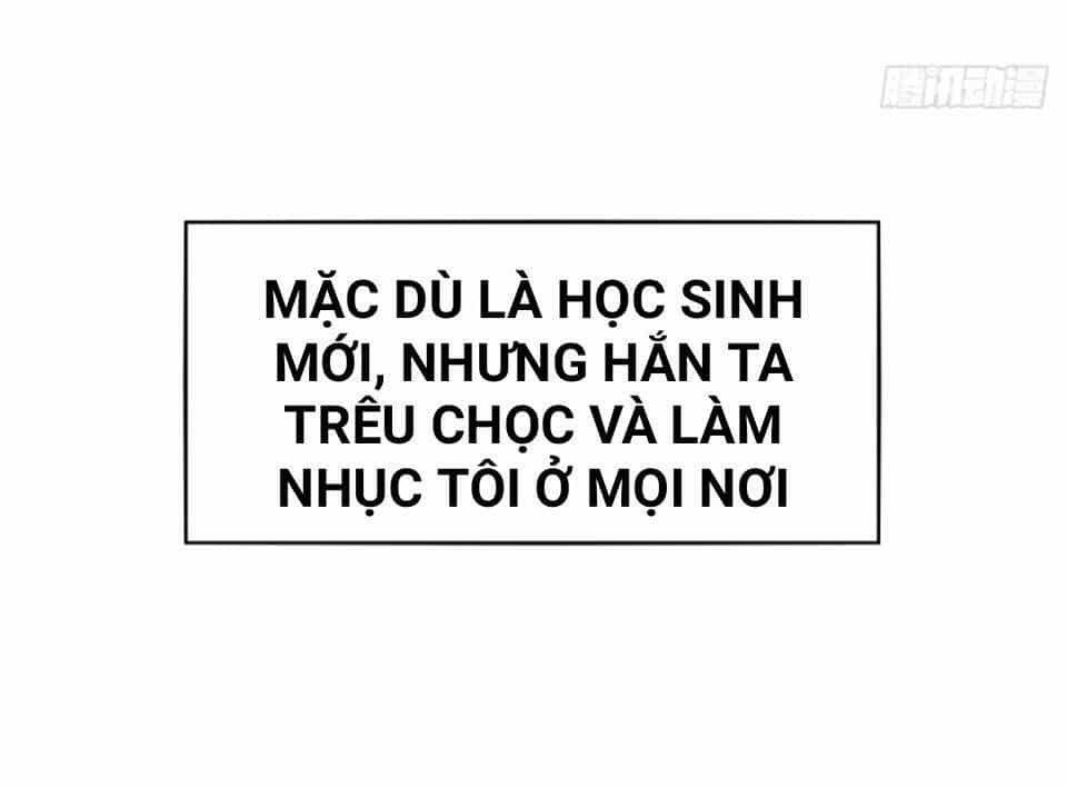 Vật Nuôi Đáng Yêu: Mèo Cỏ Của Tôi - Chương 0 - ảnh 17