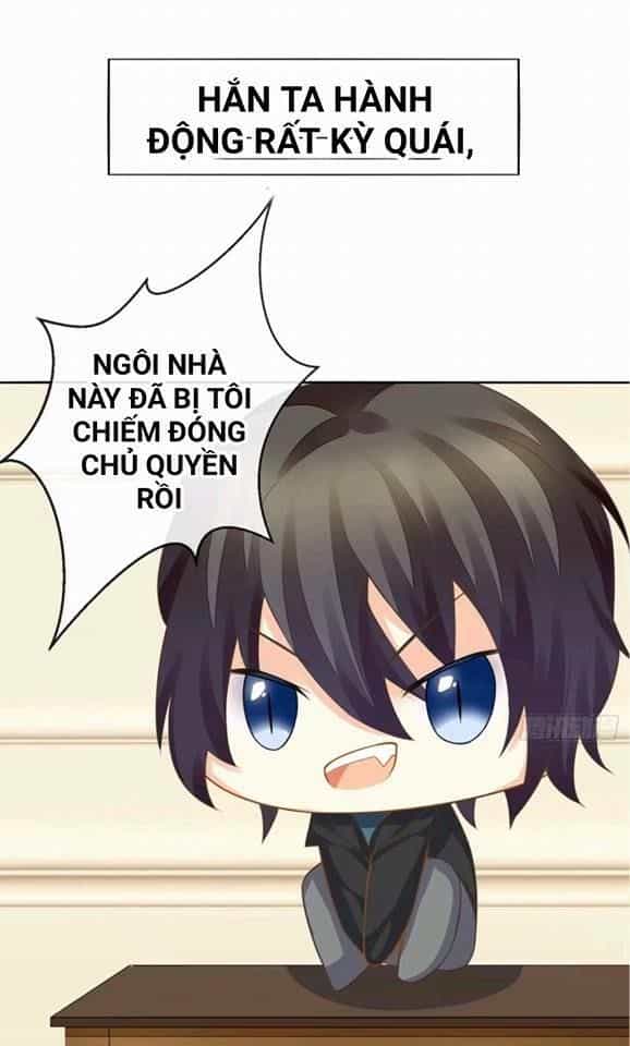 Vật Nuôi Đáng Yêu: Mèo Cỏ Của Tôi - Chương 0 - ảnh 22