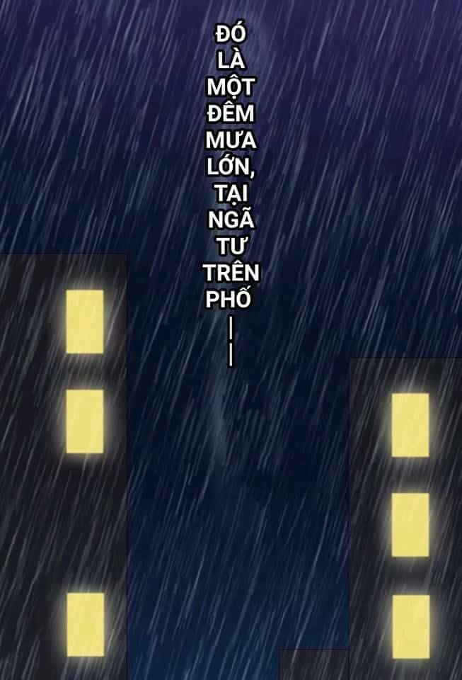 Vật Nuôi Đáng Yêu: Mèo Cỏ Của Tôi - Chương 1 - ảnh 14