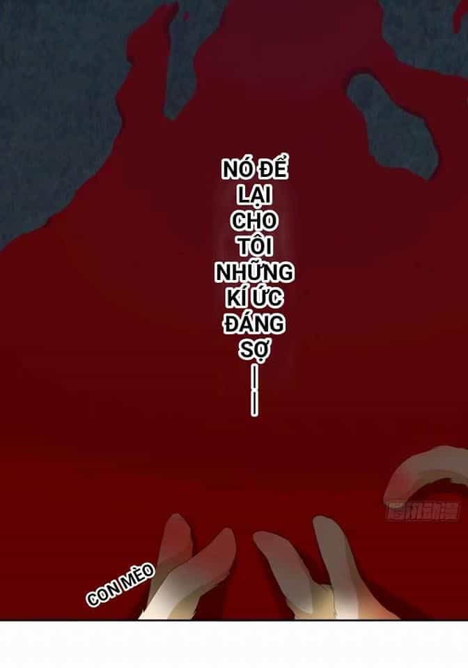 Vật Nuôi Đáng Yêu: Mèo Cỏ Của Tôi - Chương 1 - ảnh 18