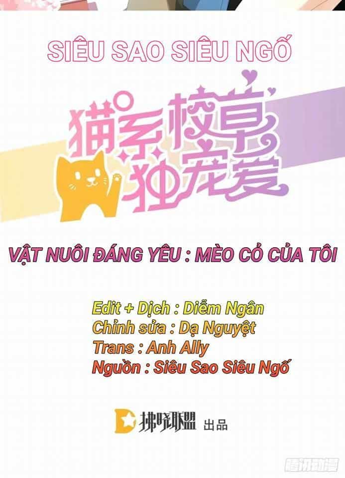 Vật Nuôi Đáng Yêu: Mèo Cỏ Của Tôi - Chương 1 - ảnh 2