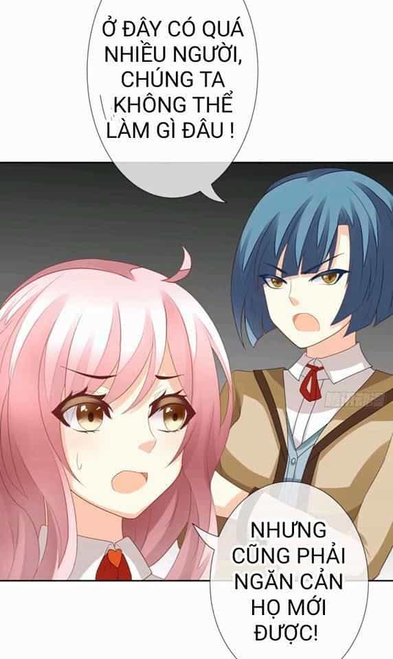Vật Nuôi Đáng Yêu: Mèo Cỏ Của Tôi - Chương 1 - ảnh 33