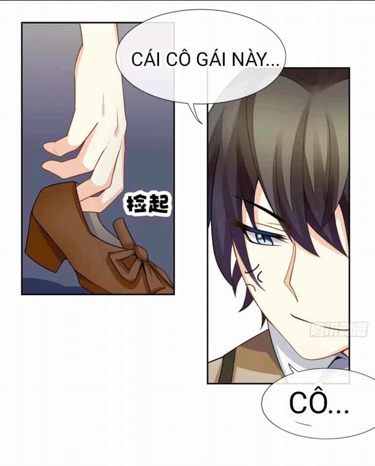 Vật Nuôi Đáng Yêu: Mèo Cỏ Của Tôi - Chương 1 - ảnh 59