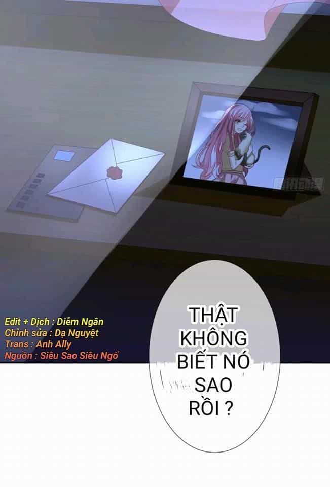 Vật Nuôi Đáng Yêu: Mèo Cỏ Của Tôi - Chương 1 - ảnh 9