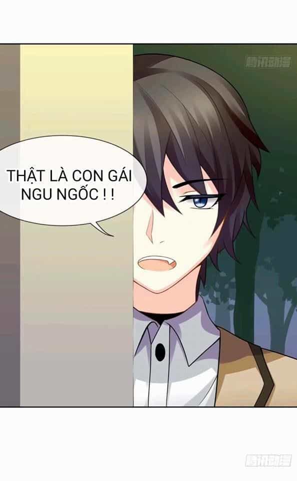 Vật Nuôi Đáng Yêu: Mèo Cỏ Của Tôi - Chương 1.5 - ảnh 15