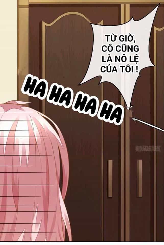 Vật Nuôi Đáng Yêu: Mèo Cỏ Của Tôi - Chương 1.5 - ảnh 58