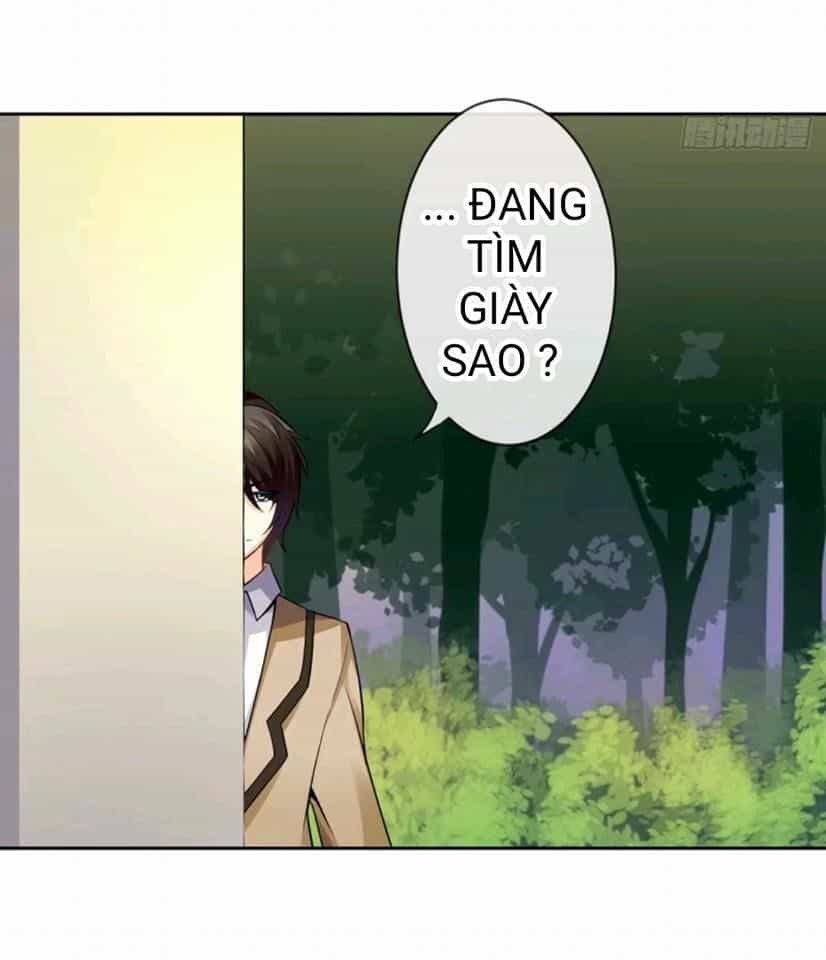 Vật Nuôi Đáng Yêu: Mèo Cỏ Của Tôi - Chương 1.5 - ảnh 8