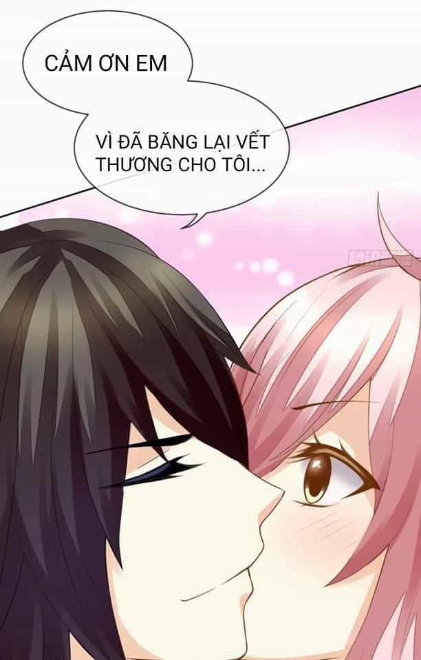 Vật Nuôi Đáng Yêu: Mèo Cỏ Của Tôi - Chương 2 - ảnh 13