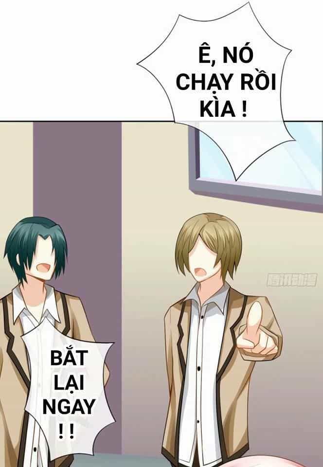 Vật Nuôi Đáng Yêu: Mèo Cỏ Của Tôi - Chương 2 - ảnh 35