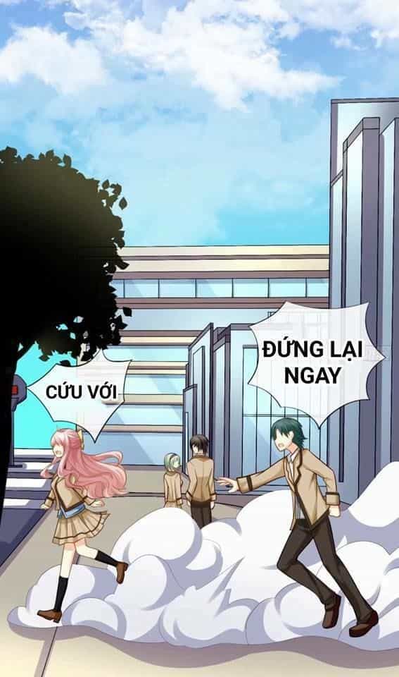 Vật Nuôi Đáng Yêu: Mèo Cỏ Của Tôi - Chương 2 - ảnh 53