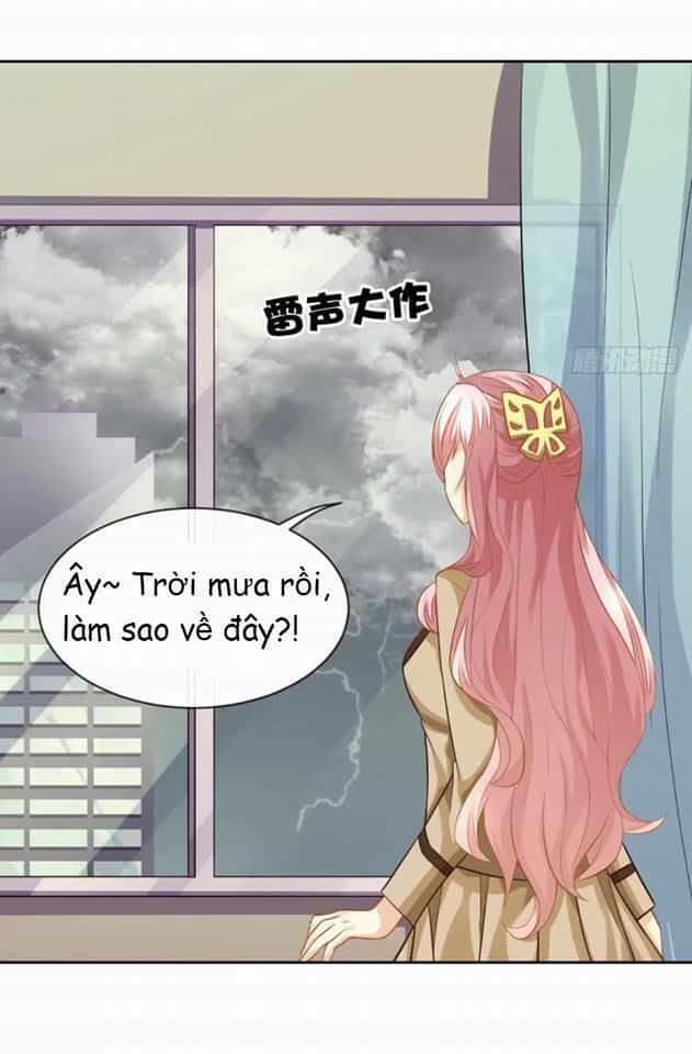 Vật Nuôi Đáng Yêu: Mèo Cỏ Của Tôi - Chương 3 - ảnh 14