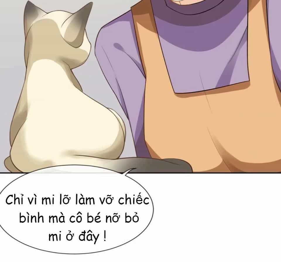 Vật Nuôi Đáng Yêu: Mèo Cỏ Của Tôi - Chương 3 - ảnh 3