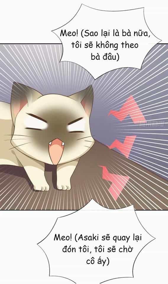 Vật Nuôi Đáng Yêu: Mèo Cỏ Của Tôi - Chương 3 - ảnh 4