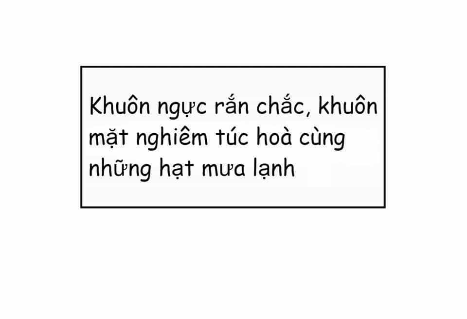 Vật Nuôi Đáng Yêu: Mèo Cỏ Của Tôi - Chương 3 - ảnh 56