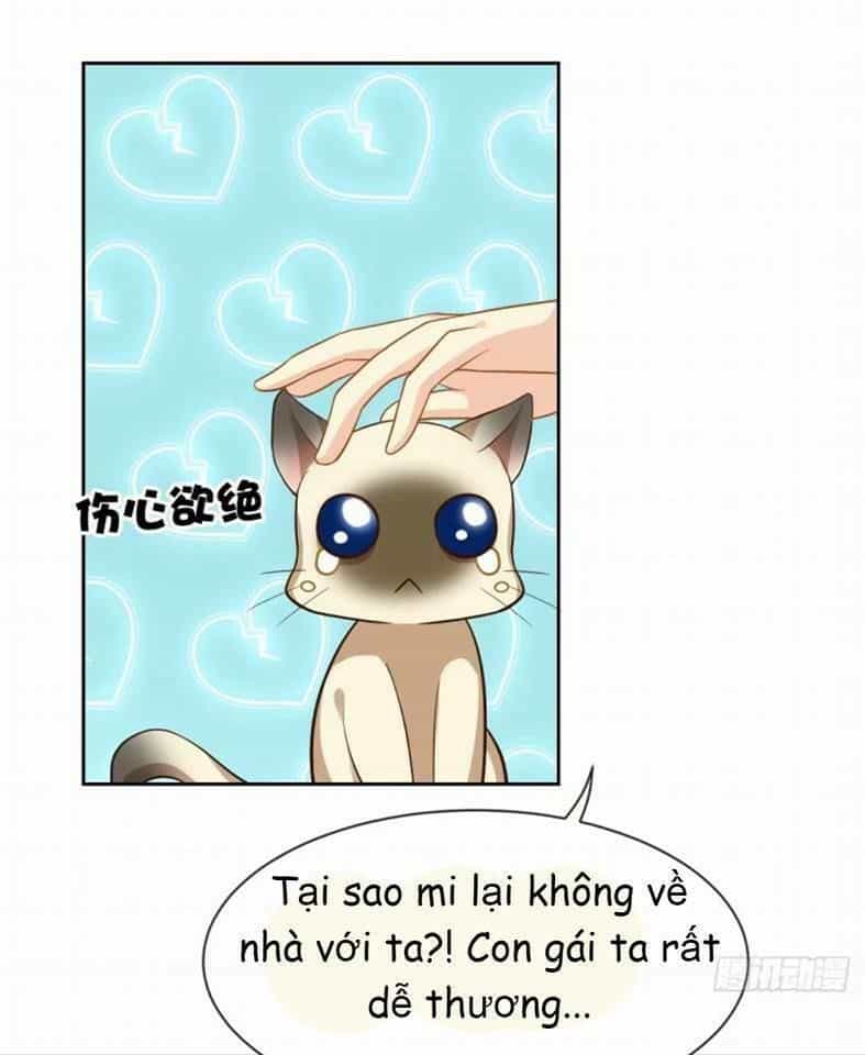Vật Nuôi Đáng Yêu: Mèo Cỏ Của Tôi - Chương 3 - ảnh 6