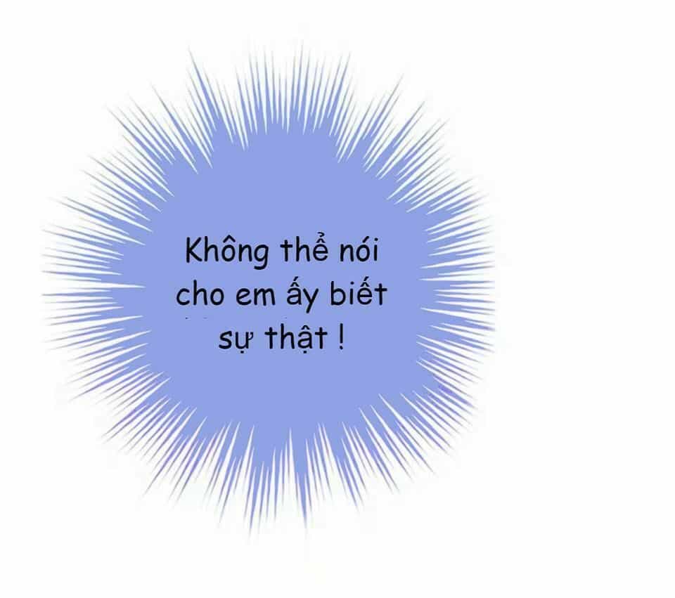 Vật Nuôi Đáng Yêu: Mèo Cỏ Của Tôi - Chương 4 - ảnh 10