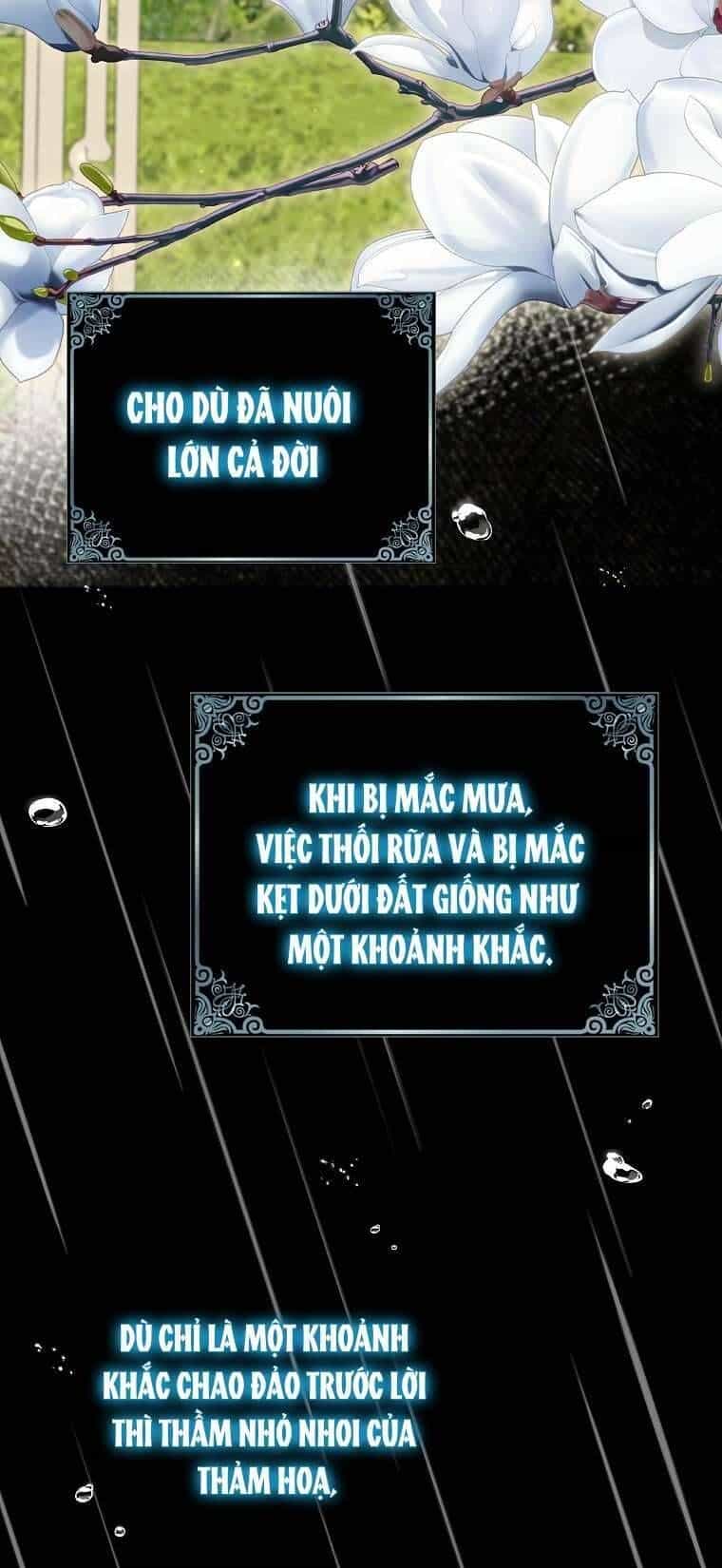 Vị Hôn Phu Phản Diện Cản Trở Con Đường Hoa Của Tôi - Chương 70 - ảnh 56