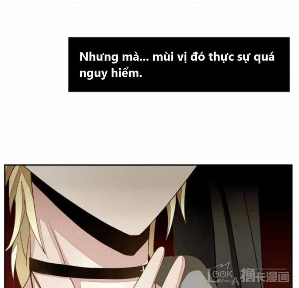 Vị Hôn Thê Bỏ Trốn - Chương 5 - ảnh 29