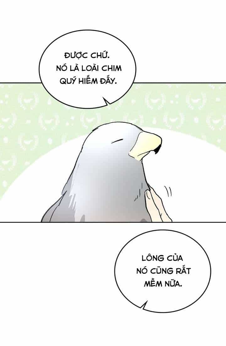Vị Hôn Thê Khế Ước Của Công Tước - Chương 55 - ảnh 17