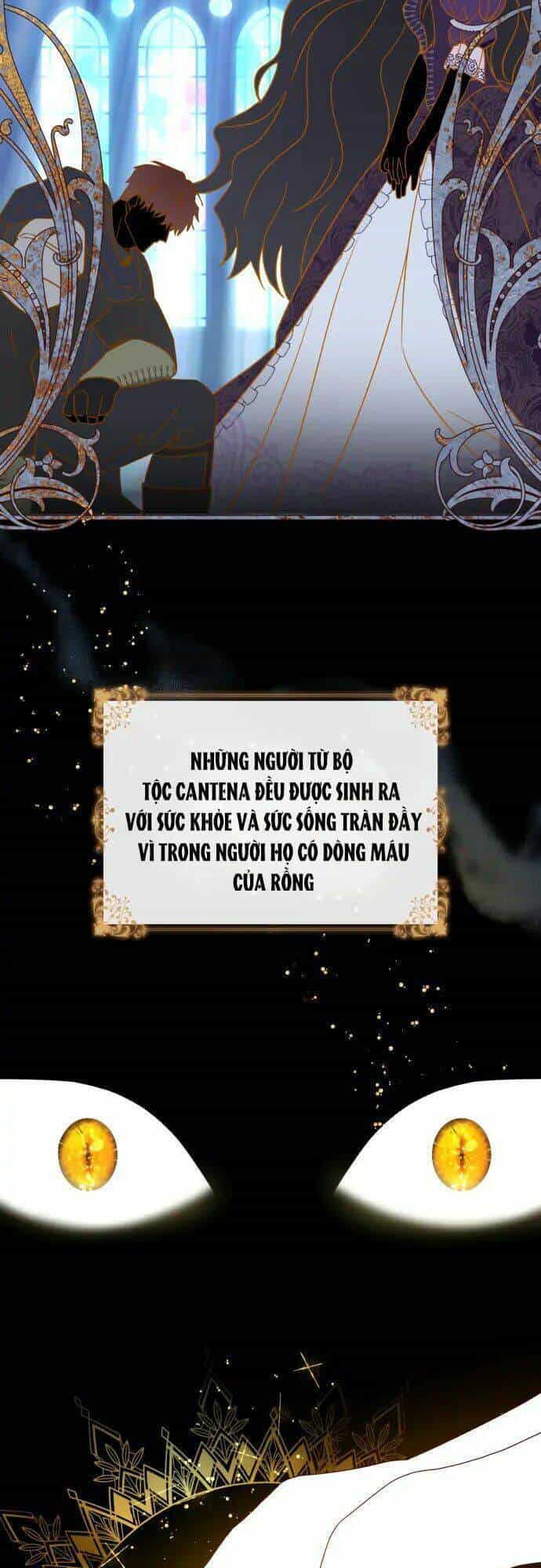 Vì Kết Cục Có Hậu Cho Cuốn Tiểu Thuyết Bi Kịch - Chương 1 - ảnh 39