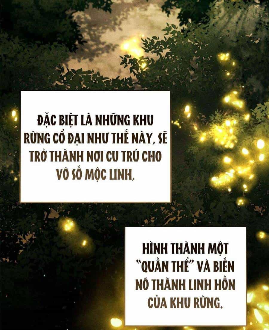 Vị Phu Quân Căm Ghét Tôi Đã Mất Trí Nhớ - Chương 24 - ảnh 52