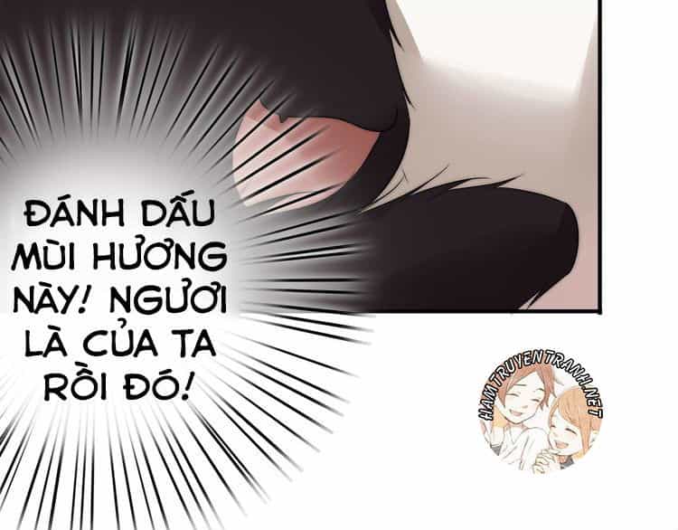 Viện Bảo Tàng Tâm Nguyện - Chương 2.1 - ảnh 42
