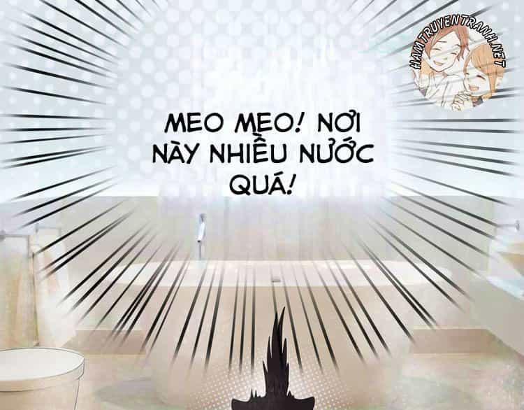 Viện Bảo Tàng Tâm Nguyện - Chương 2.2 - ảnh 5