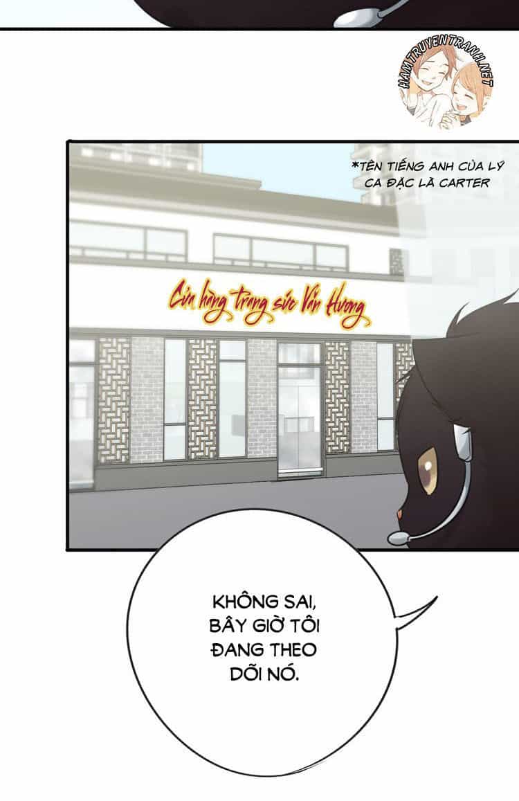 Viện Bảo Tàng Tâm Nguyện - Chương 21.1 - ảnh 13