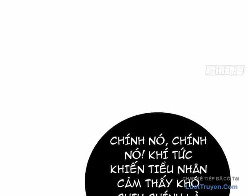 Viện Bảo Tàng Trấn Yêu - Chương 17 - ảnh 46