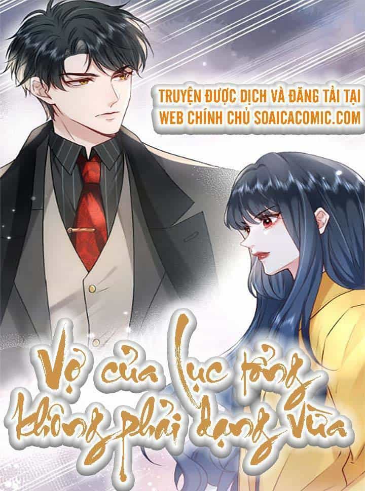 Vợ Của Lục Tổng Không Phải Dạng Vừa - Chương 1 - ảnh 1