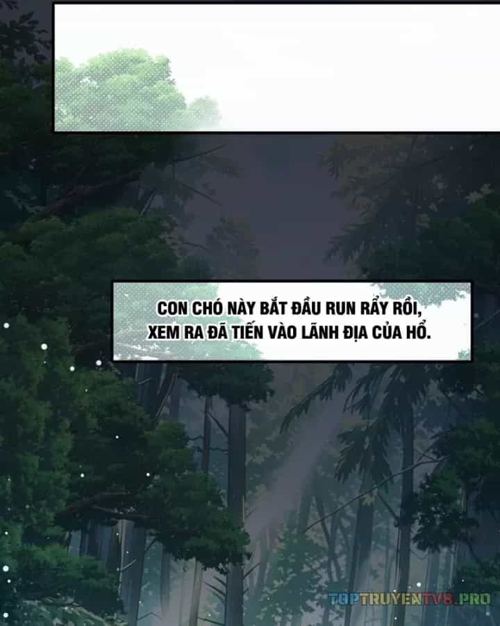 Võ Đại Lang Mạnh Nhất Tái Sinh Ở Thế Giới Thủy Hử - Chương 54 - ảnh 3