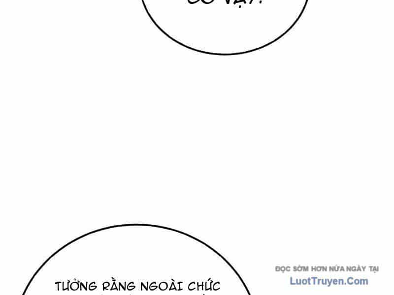 Vô Địch Bị Động Tạo Ra Tấn Sát Thương - Chương 116 - ảnh 87