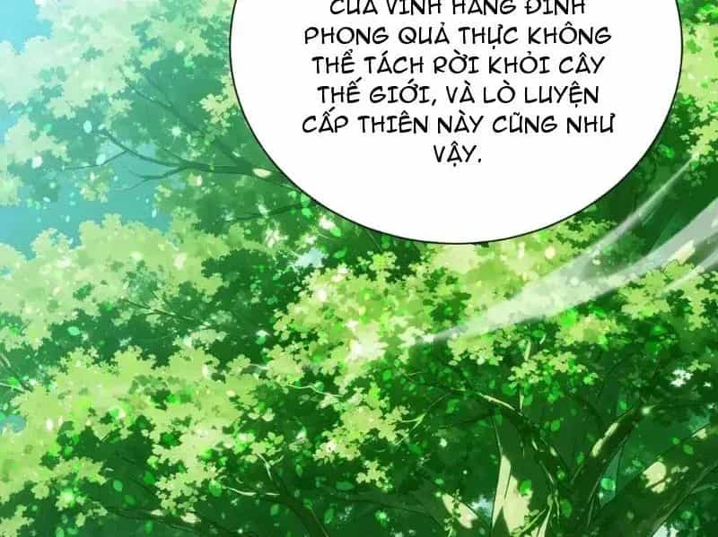 Vô Địch Bị Động Tạo Ra Tấn Sát Thương - Chương 175 - ảnh 24