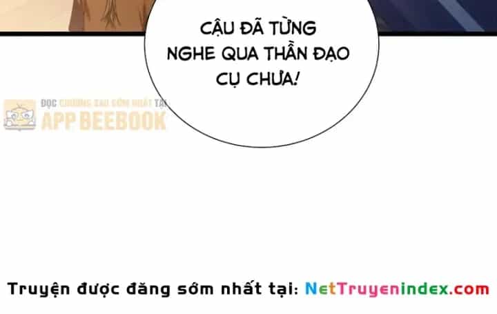 Vô Địch Bị Động Tạo Ra Tấn Sát Thương - Chương 177 - ảnh 50