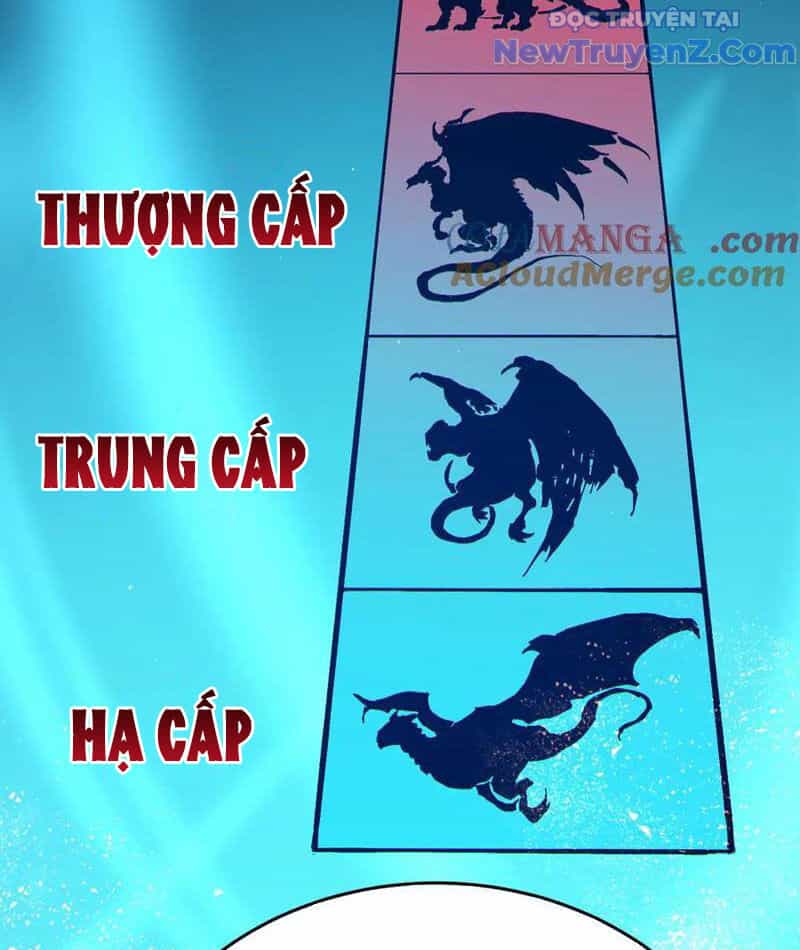 Vô Địch Bị Động Tạo Ra Tấn Sát Thương - Chương 84 - ảnh 60