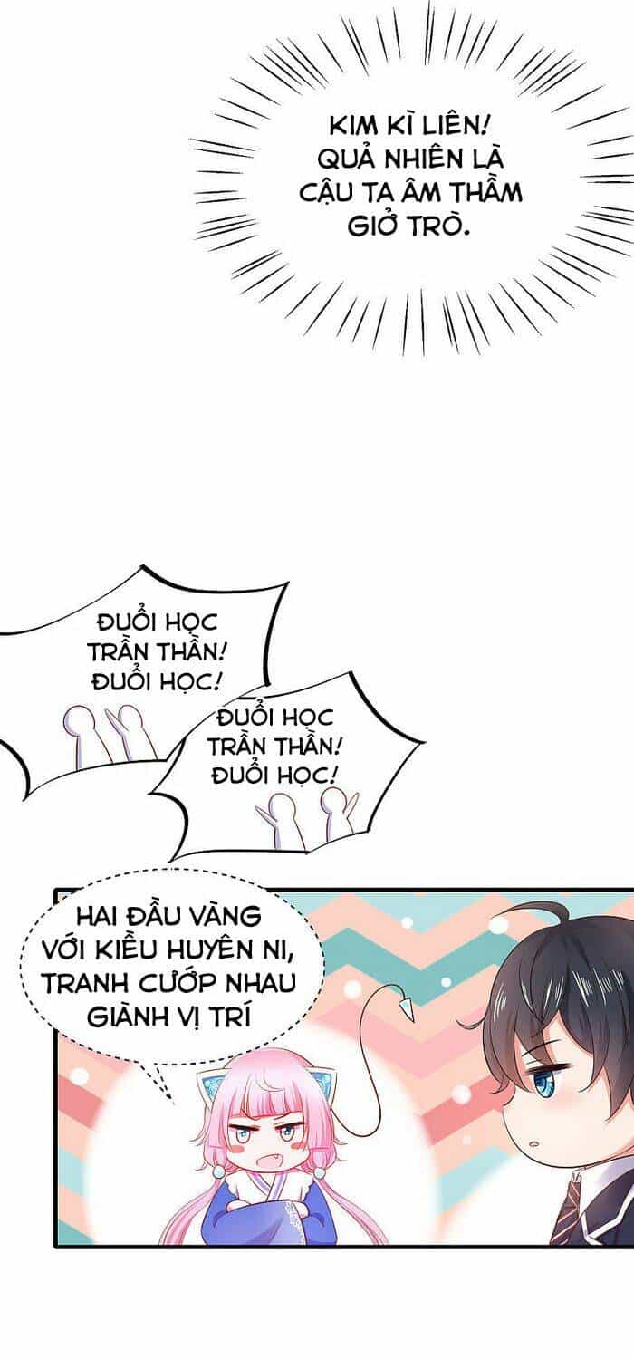 Vô Địch Học Bạ Hệ Thống - Chương 21 - ảnh 6