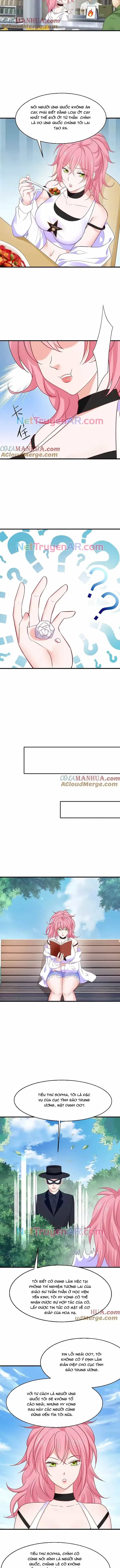 Vô Địch Học Bạ Hệ Thống - Chương 266 - ảnh 3
