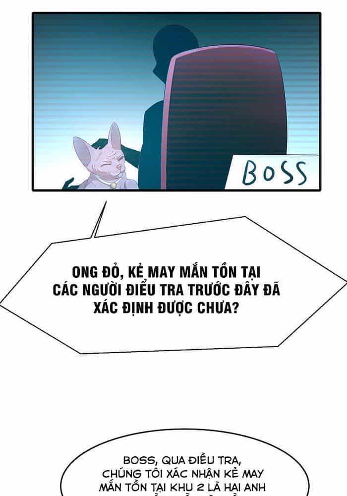 Vô Địch Học Bạ Hệ Thống - Chương 46 - ảnh 6