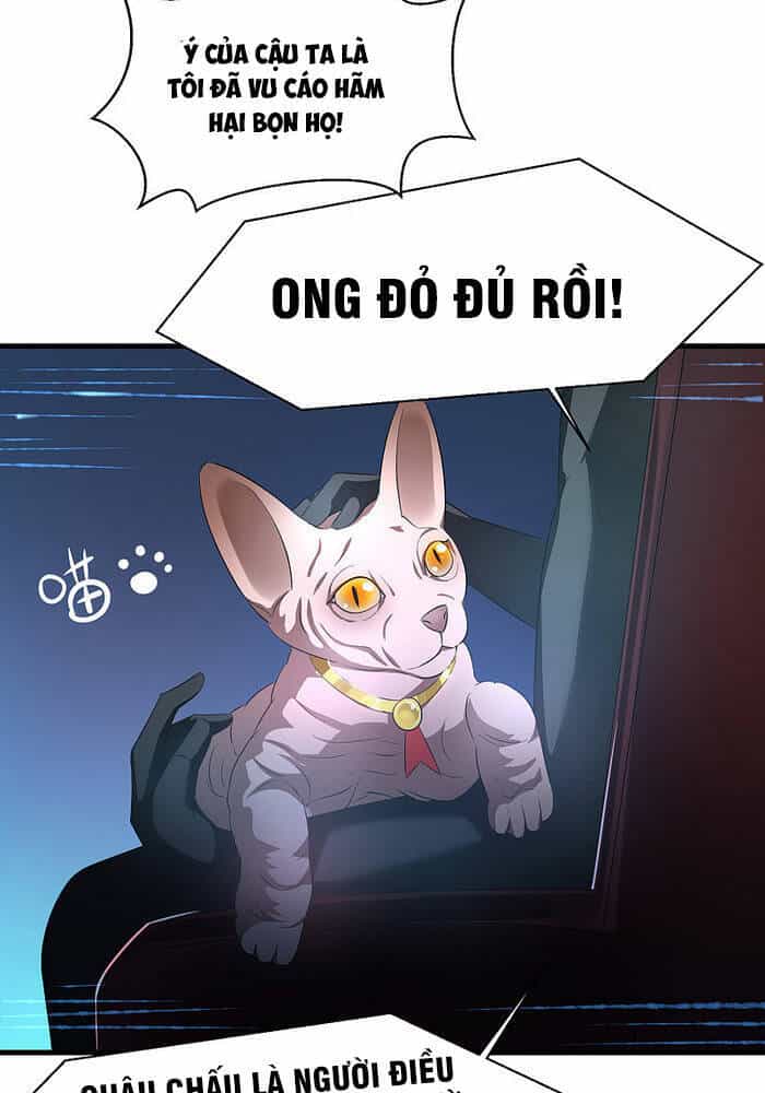 Vô Địch Học Bạ Hệ Thống - Chương 46 - ảnh 8