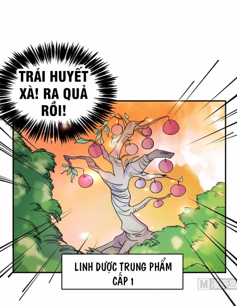 Võ Nghịch Cửu Thiên - Chương 16 - ảnh 15