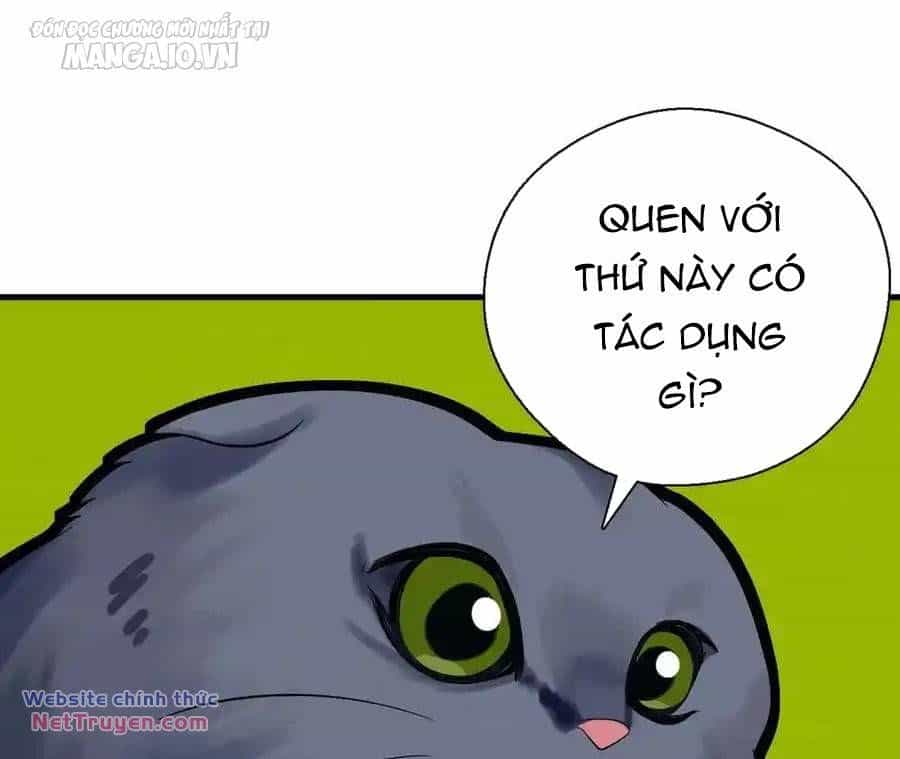 Vợ Ơi, Xin Hãy Ngoan Ngoãn Nhé - Chương 64 - ảnh 110