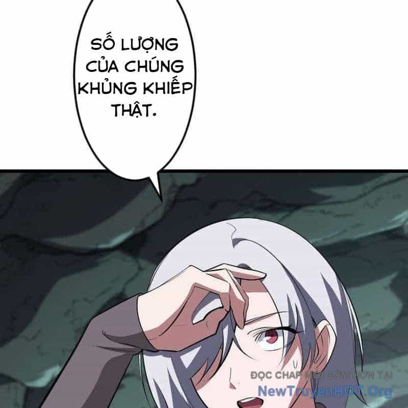 Vô Song Cùng Với Vũ Khí Ẩn - Chương 63 - ảnh 13