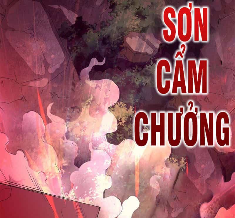 Vô Tận Thôn Phệ - Chương 12 - ảnh 30