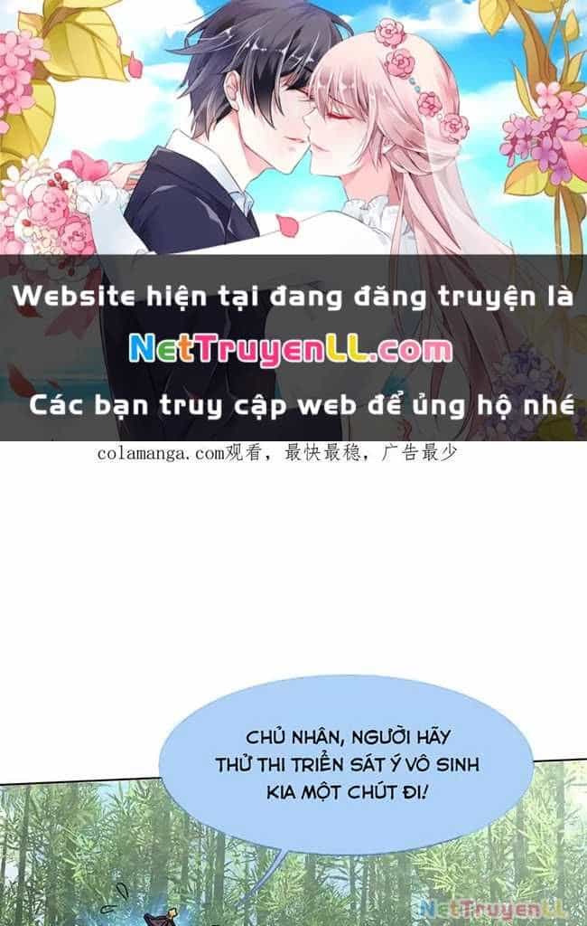 Vô Tận Thôn Phệ - Chương 194 - ảnh 3