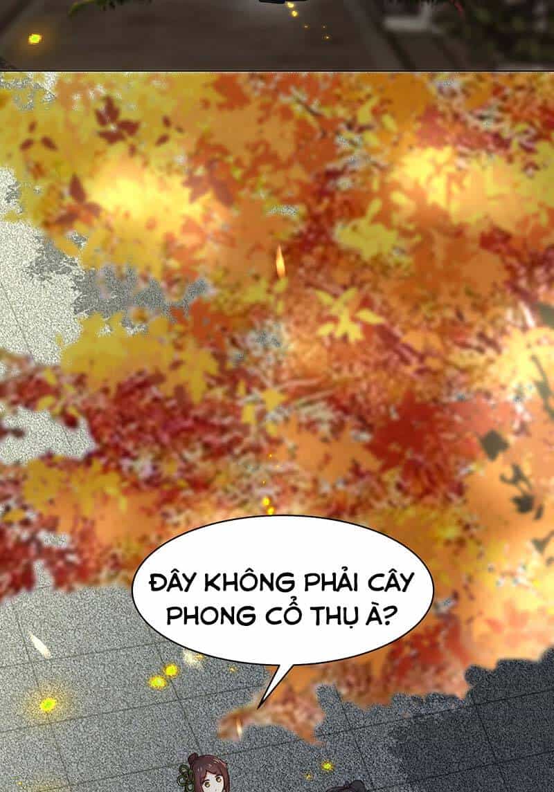 Vô Tận Thôn Phệ - Chương 34 - ảnh 34