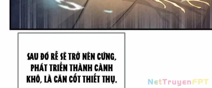 Võ Thánh Này Khảng Khái Quá Rồi - Chương 11 - ảnh 82
