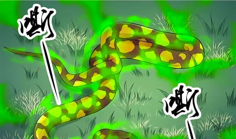 Vô Thượng Thần Vương - Chương 11 - ảnh 3